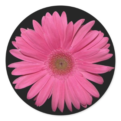 Gerber Daisy sticker by bkang22