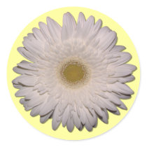 Gerber Daisy Stickers