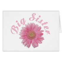 Gerbera Big Sister