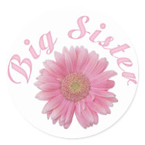 Gerbera Big Sister