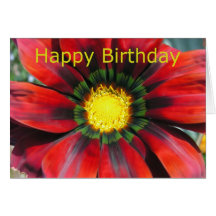 Gerbera Cards
