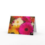 Gerbera Daisies 041 Greeting Cards