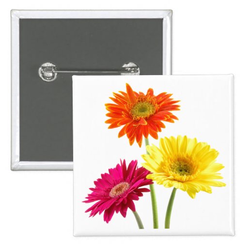 Gerbera Daisies Button