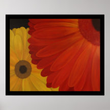 Gerbera Daisies from Original Oil on Canvas Poster