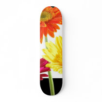Gerbera Daisies