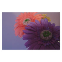 Gerbera Daisies - Stationery