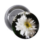 Gerbera Daisy 10 Pinback Button