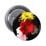 Gerbera Daisy 2 Pinback Buttons