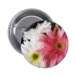 Gerbera Daisy 4 Pinback Button