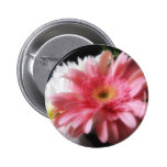 Gerbera Daisy 5 Pin