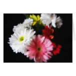 Gerbera Daisy 9 Greeting Cards