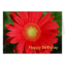 Gerbera Daisy Birthday Card