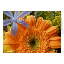 "Gerbera daisy" Card