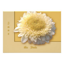 Gerbera Daisy Custom Announcement