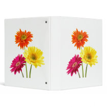 Gerbera Daisy Delight