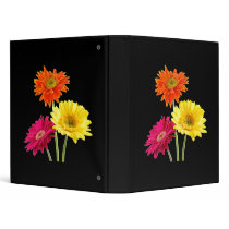 Gerbera Daisy Delight
