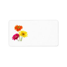 Gerbera Daisy Delight Personalized Address Label