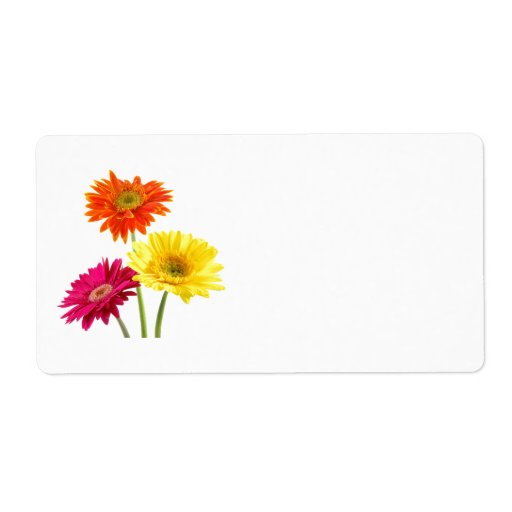 Gerbera Daisy Delight Shipping Label
