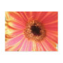 Gerbera Daisy Flower Postcard