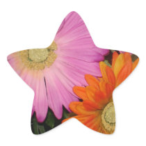 Gerbera Daisy Garden Star Stickers