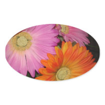 Gerbera Daisy Garden Stickers