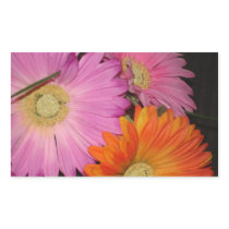 Gerbera Daisy Garden Rectangular Sticker