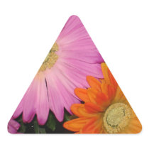 Gerbera Daisy Garden Triangle Sticker