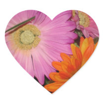 Gerbera Daisy Garden Sticker