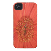 Gerbera Daisy iPhone 4 Case