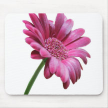 Gerbera Daisy Mouse Pad