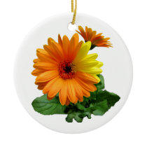 GERBERA DAISY-ORNAMENTS