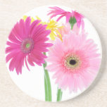 Gerbera Daisy Pink Coasters