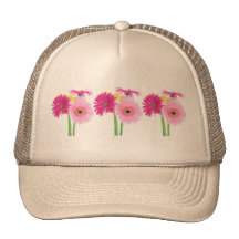 Gerbera Daisy Pink Hats