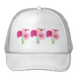Gerbera Daisy Pink Hats