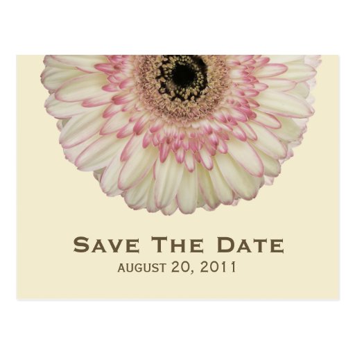 Gerbera Daisy Save The Date Postcard