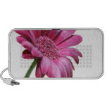 Gerbera Daisy Speakers