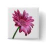 Gerbera Daisy Square Pin