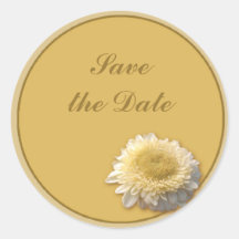 Gerbera Daisy Sticker
