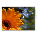 Gerbera Daisy Thank You Card