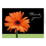 Gerbera Daisy Thank You Card