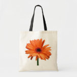 Gerbera Daisy Tote Bag