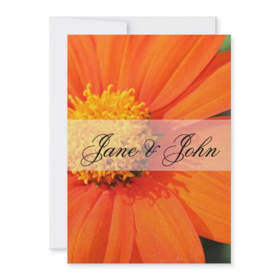 Gerbera Daisy Wedding Invites by grnidlady