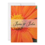 Gerbera Daisy Wedding invitations