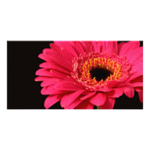 Gerbera dans le rose cartes de vœux avec photo