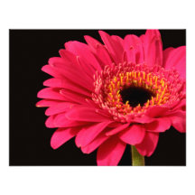 Gerbera in pink personalized invitation