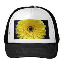 Gerbera jaune casquette de camionneur