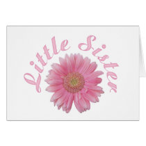 Gerbera Little Sister