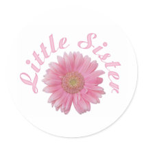 Gerbera Little Sister