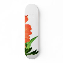 Gerbera On White Background Skate Deck