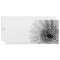 Gerbera